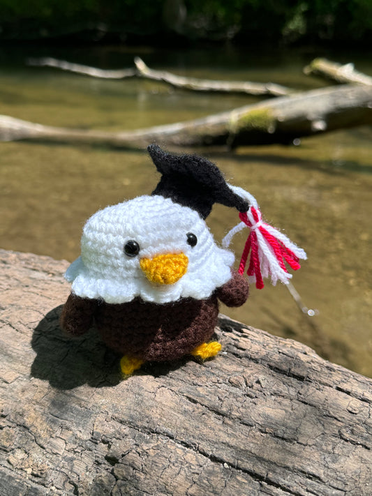 Graduation Eagle