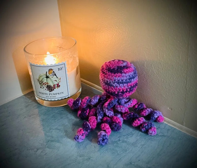 Nicu Octopus Buddies