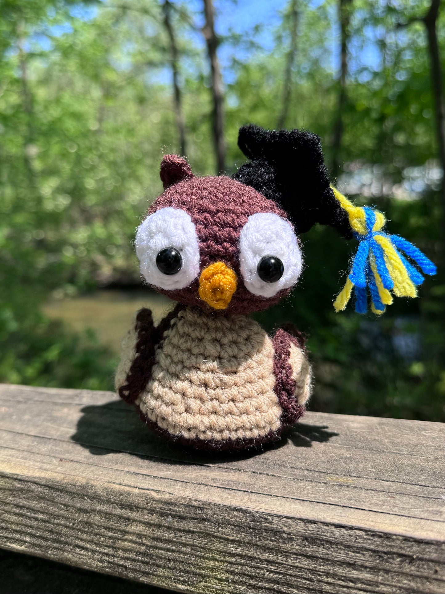 Graduation Owl