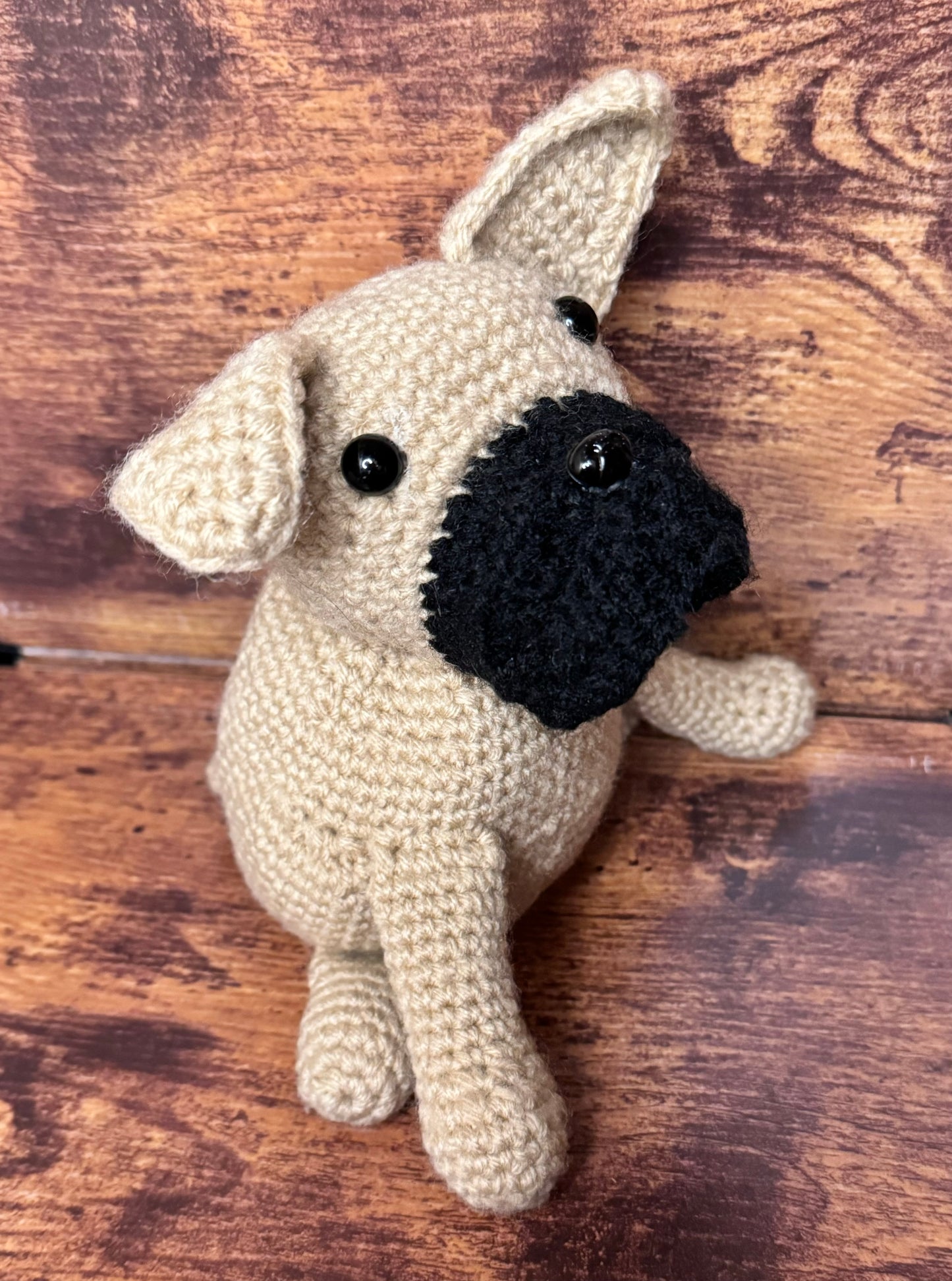 French Bulldog - Sitting