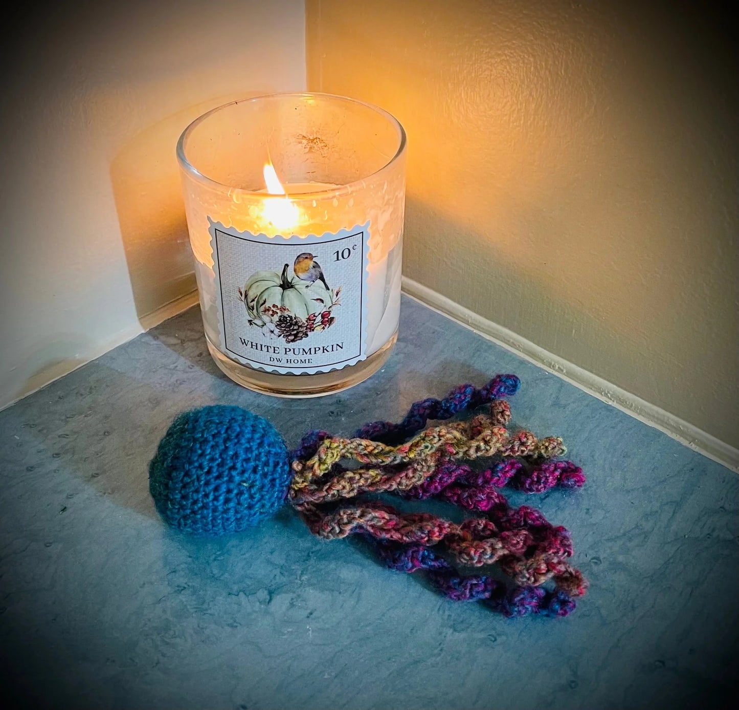 Nicu Octopus Buddies