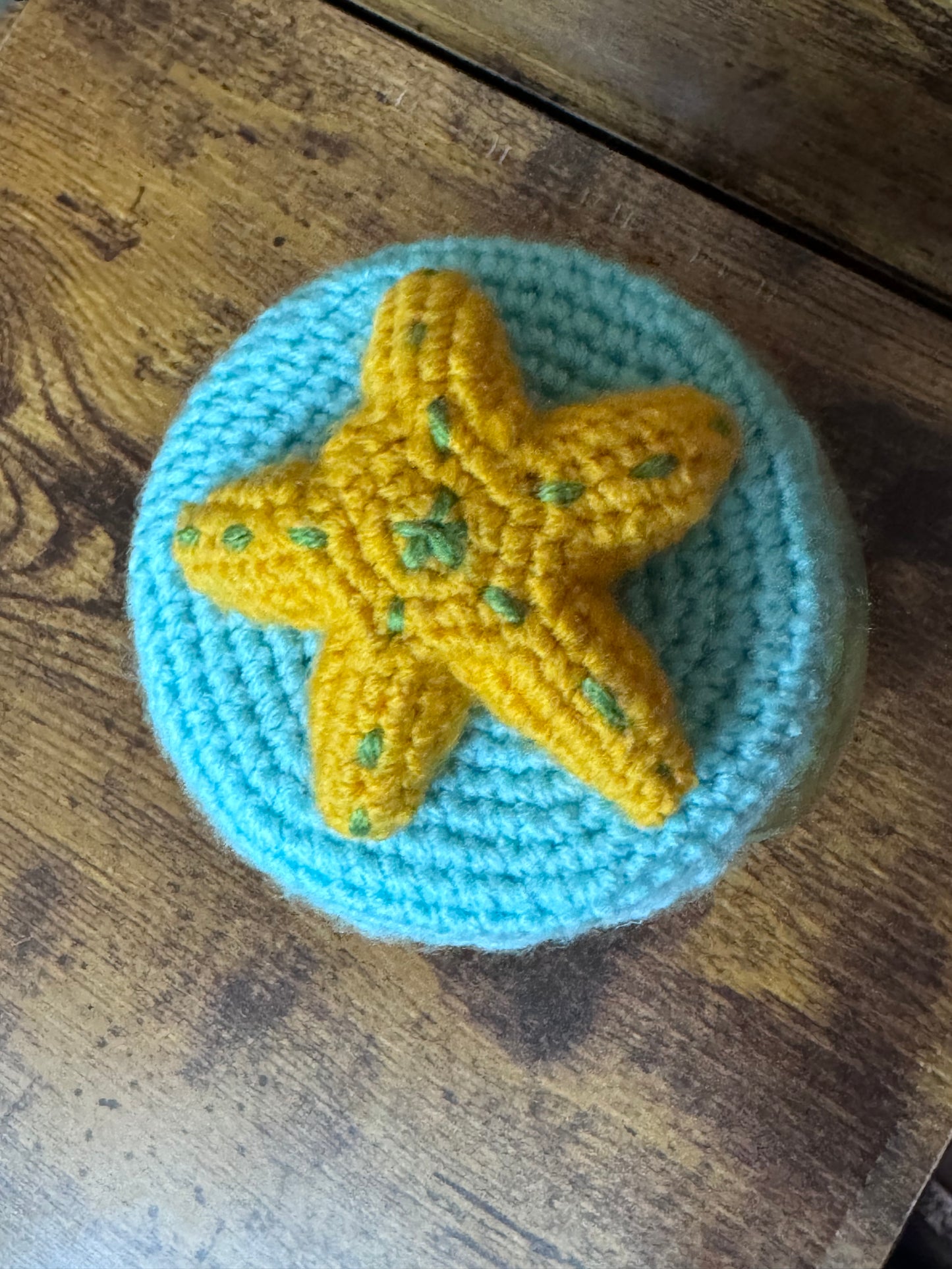 No Fuss Mini Fish Tank- One of a kind!