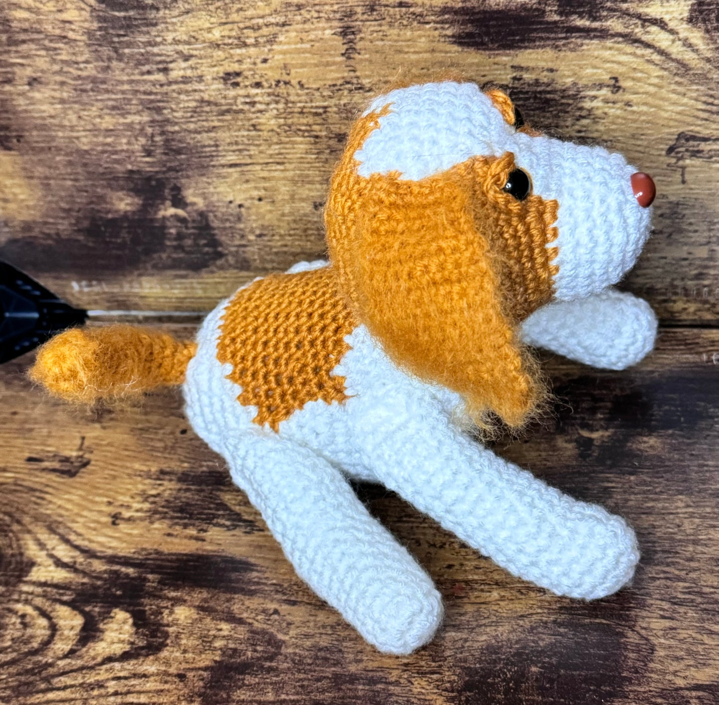 Cavalier King Charles Spaniel