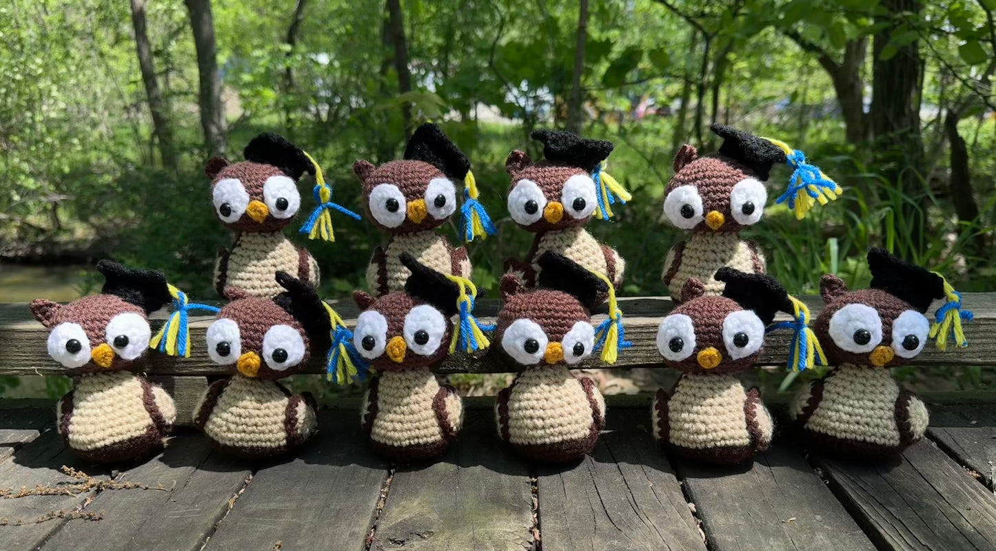Graduation Owl