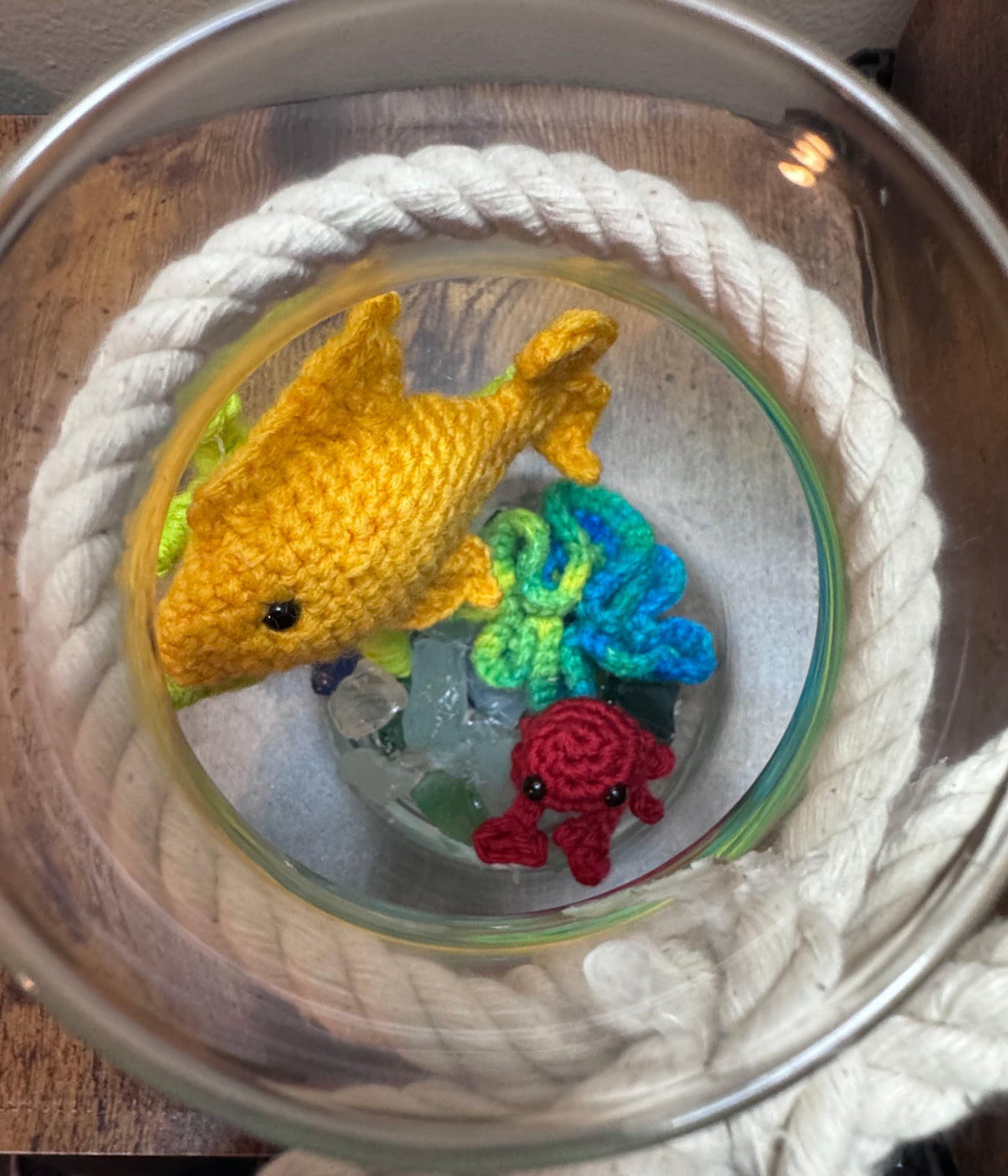 No Fuss Fish Tank - One of a kind!