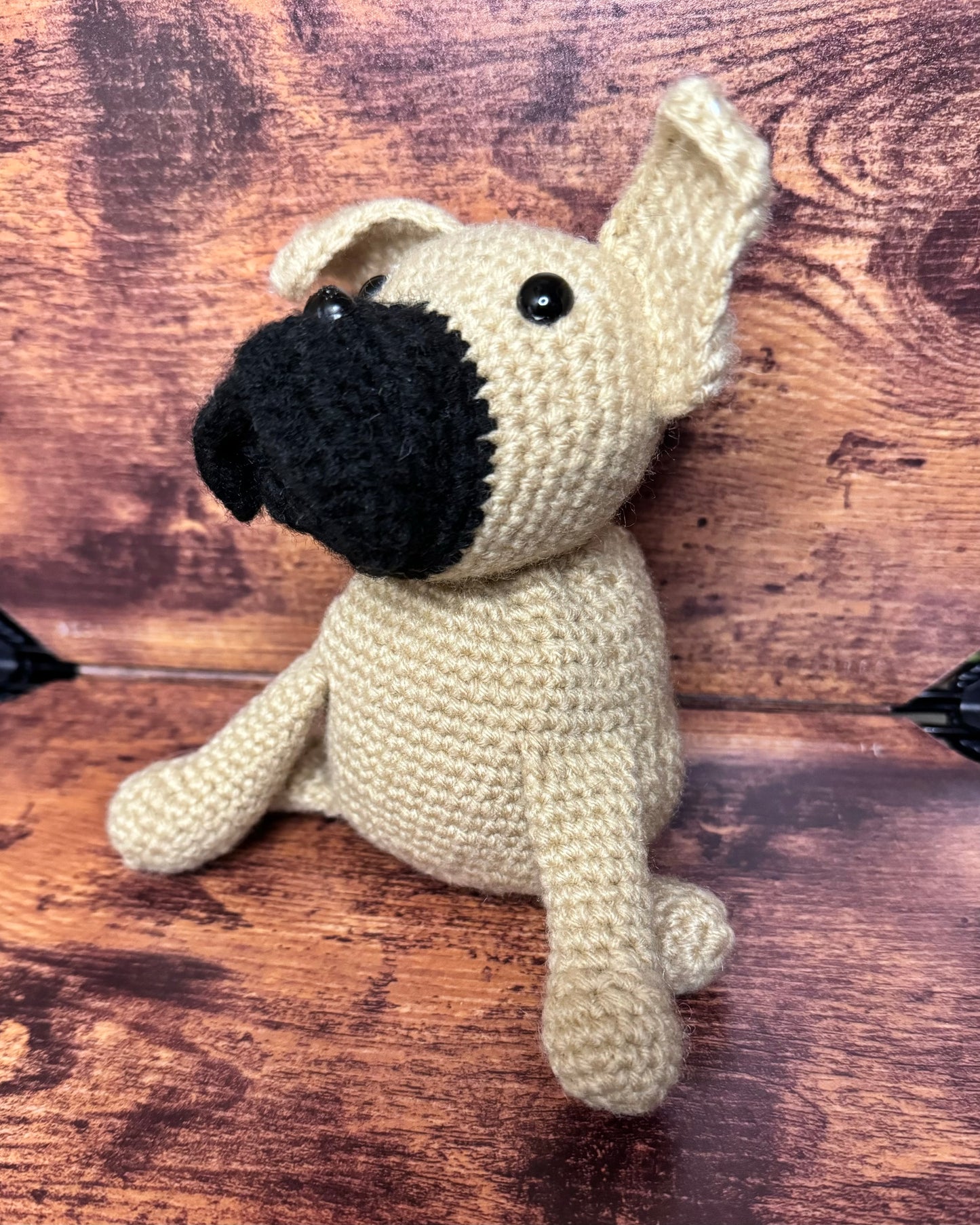 French Bulldog - Sitting