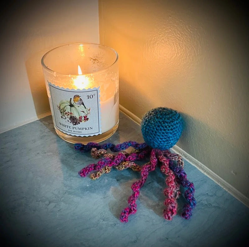 Nicu Octopus Buddies