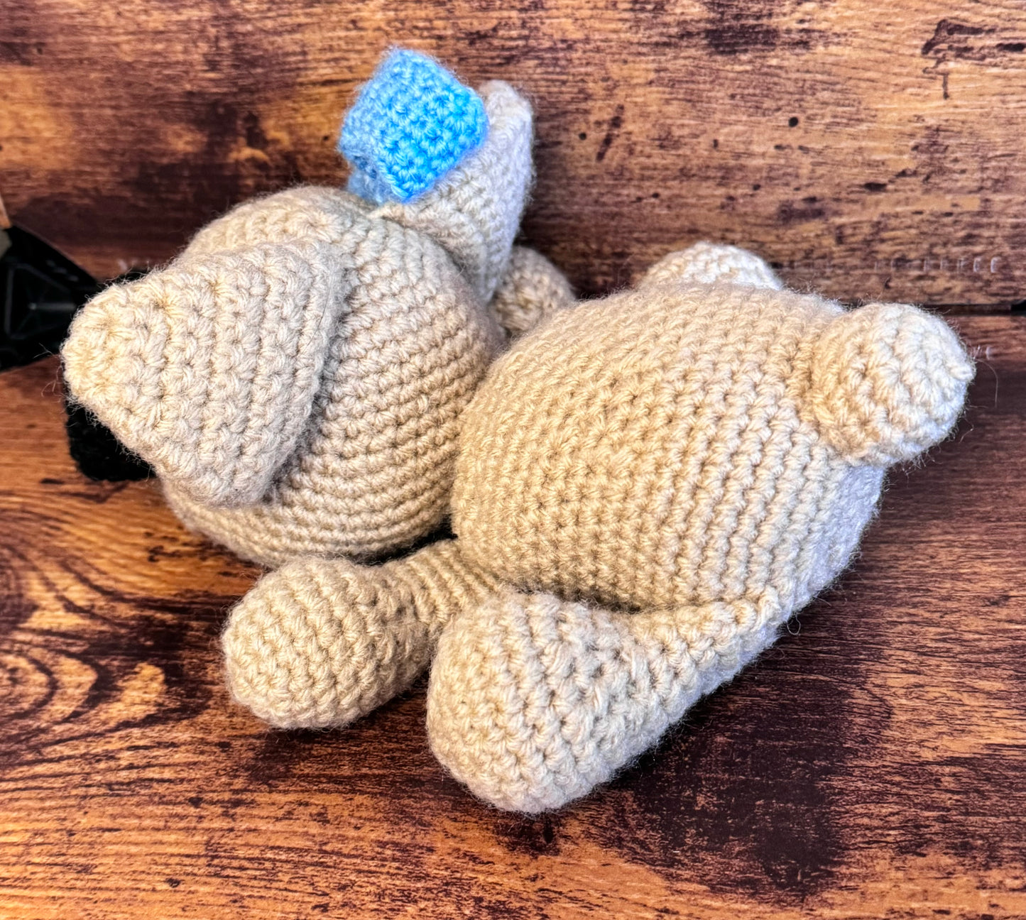 French Bulldog -laying down