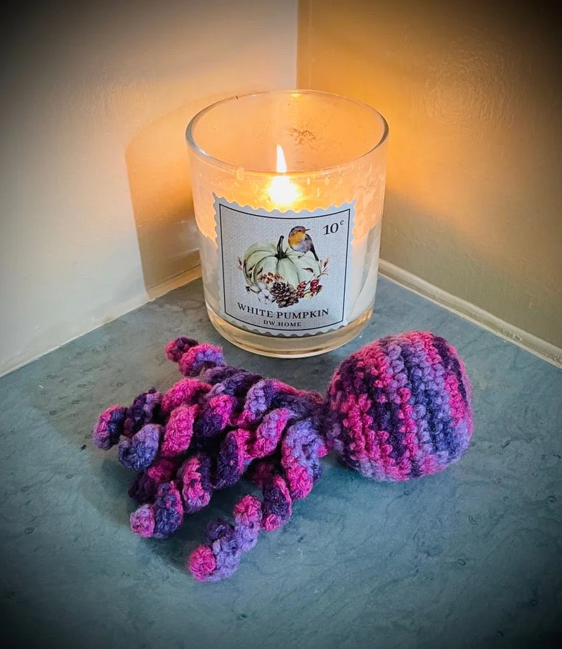 Nicu Octopus Buddies