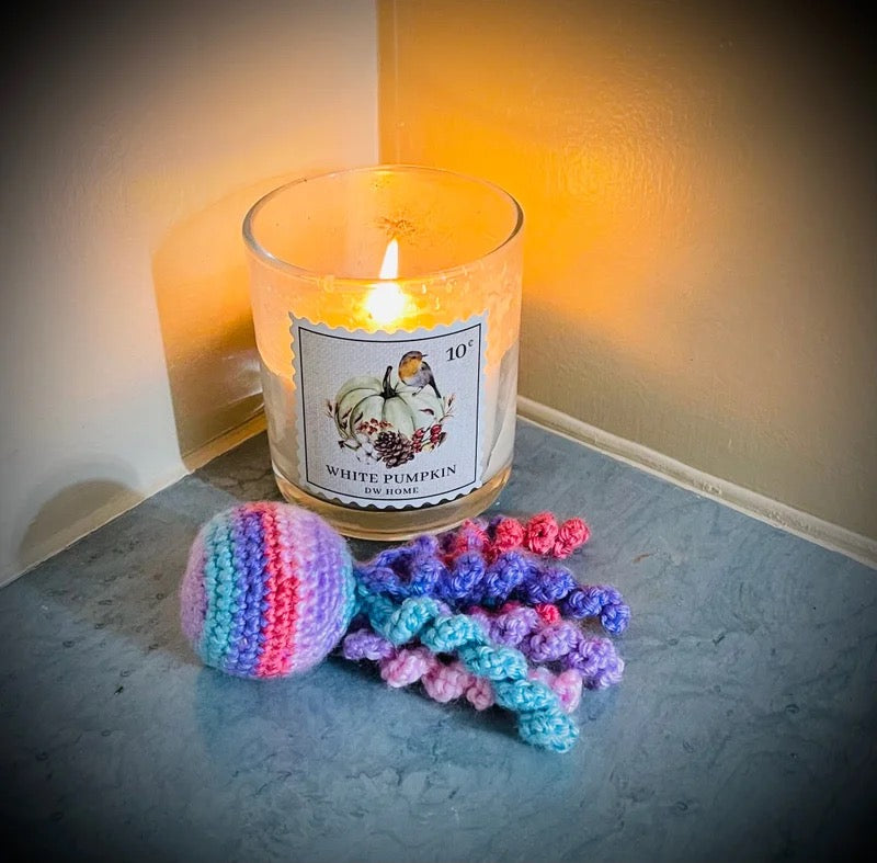 Nicu Octopus Buddies