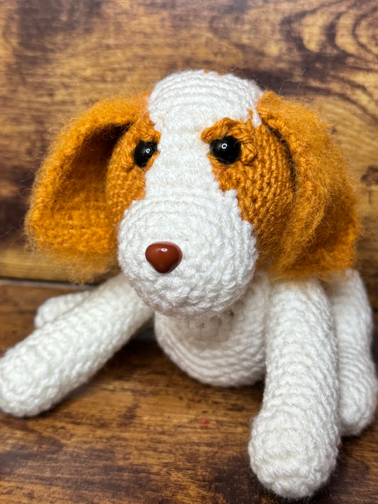 Cavalier King Charles Spaniel